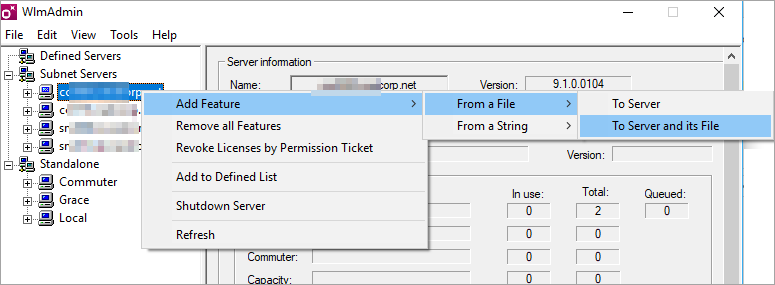 Using a Network Licence