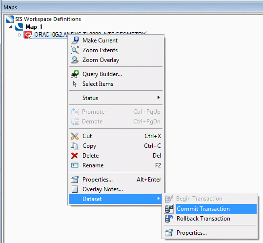 Commit Transaction (Dataset) (Command)